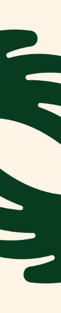 no photo.png